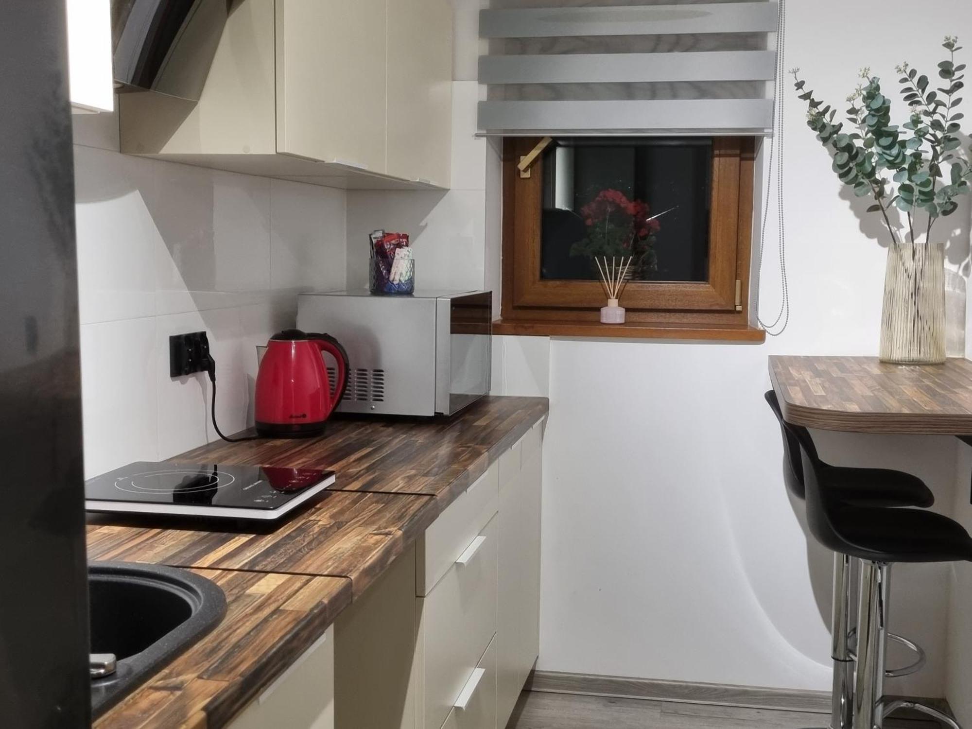 Apartament Paula 耶莱尼亚古拉 外观 照片