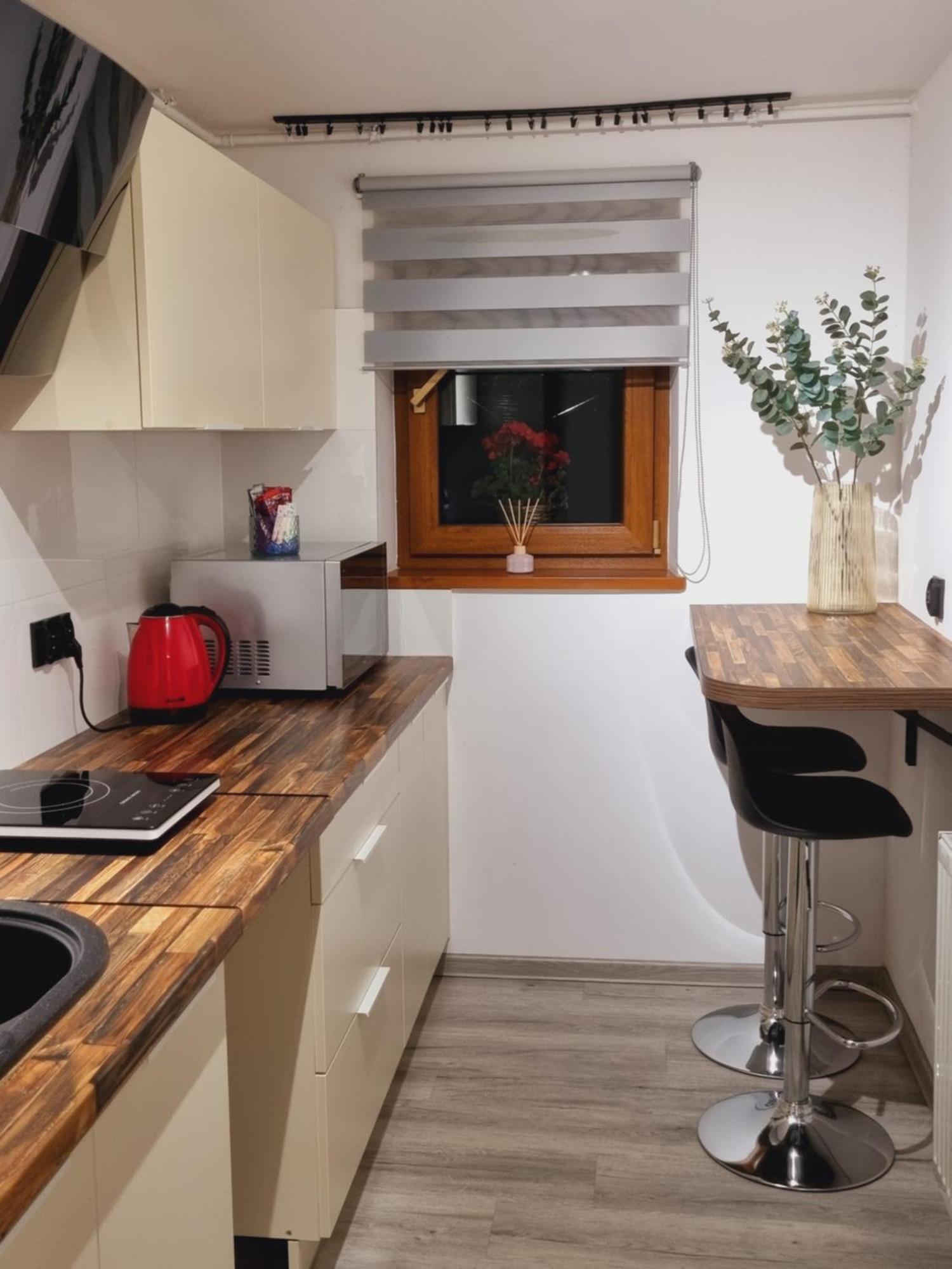 Apartament Paula 耶莱尼亚古拉 外观 照片
